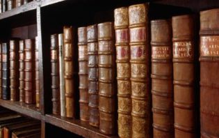 Curriculum